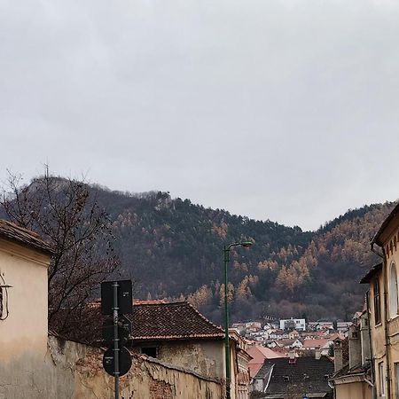 Golden Greens Studio - Mountain Scenery Брашов Екстер'єр фото