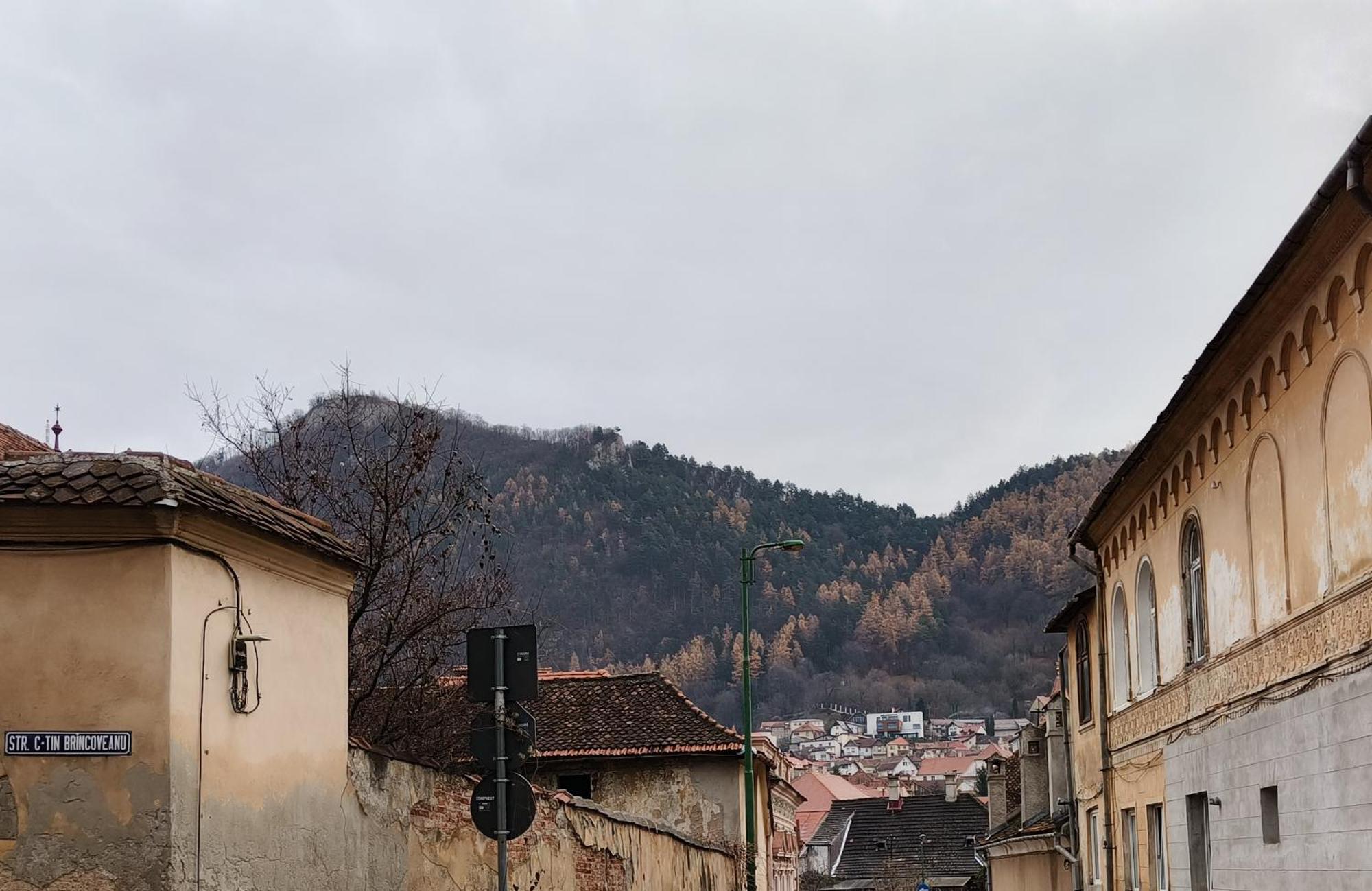 Golden Greens Studio - Mountain Scenery Брашов Екстер'єр фото
